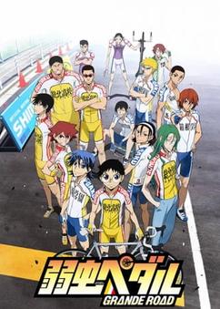 Get anime like Yowamushi Pedal: Grande Road