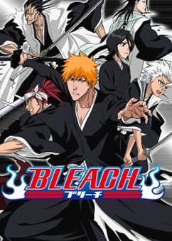 Find anime like Bleach