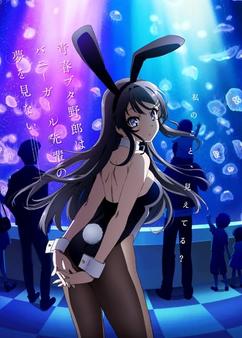 Find anime like Seishun Buta Yarou wa Bunny Girl Senpai no Yume wo Minai