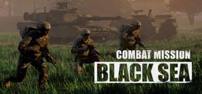 Get games like Combat Mission Black Sea